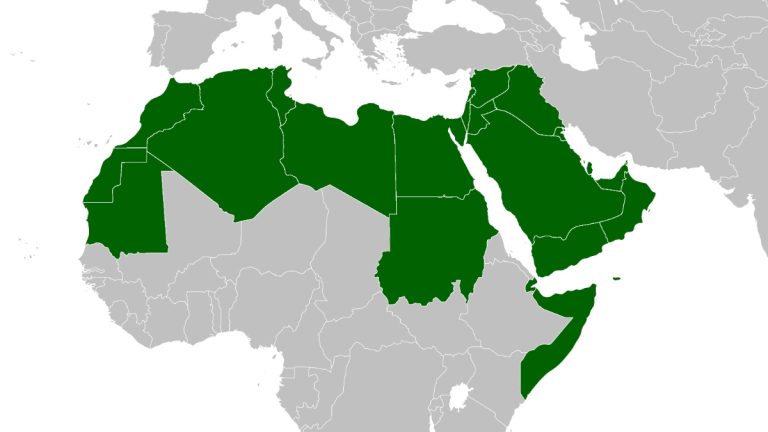 Facing New World Geopolitics in the Arab World   by Seyid ould Abah