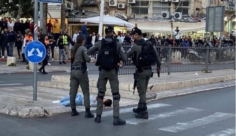 GNQP expresses outrage at yet another extrajudicial execution in the oPt Statement
