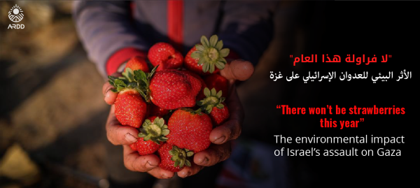 “There won’t be strawberries this year”<br> The environmental impact of Israel’s assault on Gaza